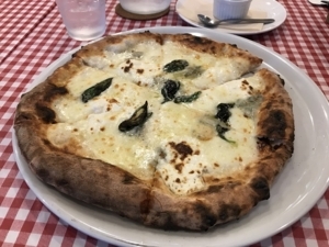 f:id:uraomotenoraneko:20170608191546j:image