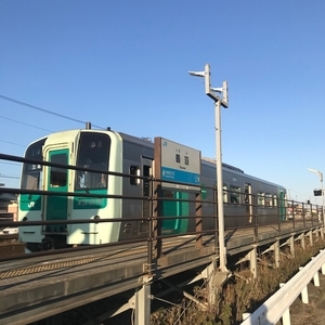 f:id:uraomotenoraneko:20200320171302j:plain f:id:uraomotenoraneko:20200320171302j:plain