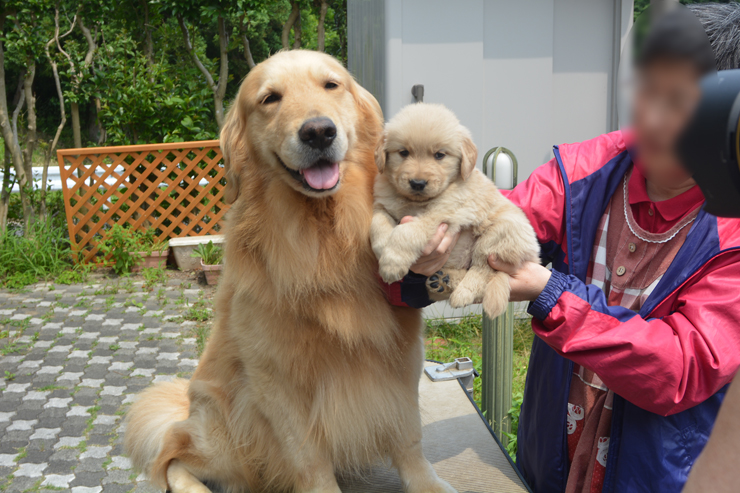 f:id:urarifu:20150628232513j:image f:id:urarifu:20150628232513j:image