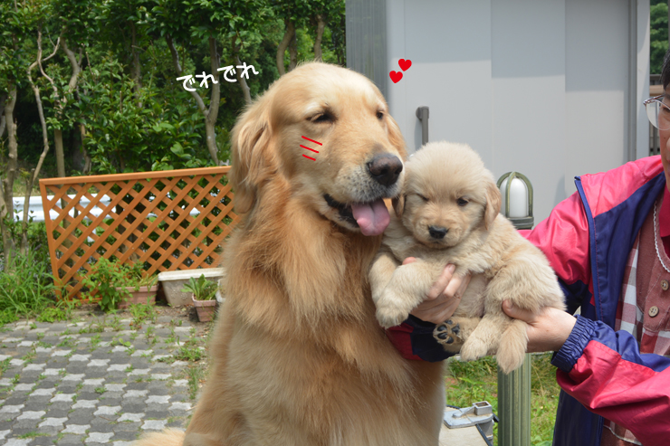 f:id:urarifu:20150628232514j:image f:id:urarifu:20150628232514j:image