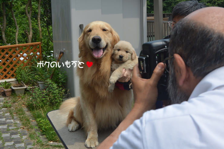 f:id:urarifu:20150628232515j:image f:id:urarifu:20150628232515j:image
