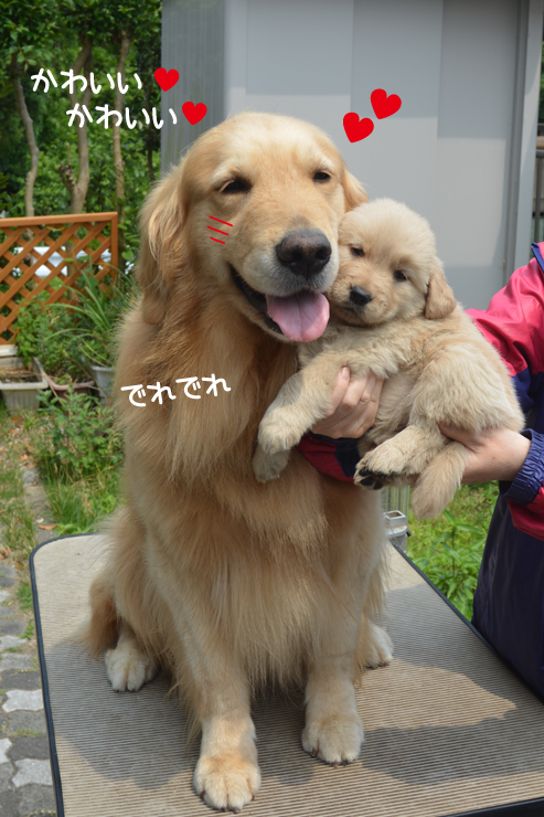 f:id:urarifu:20150628232516j:image f:id:urarifu:20150628232516j:image