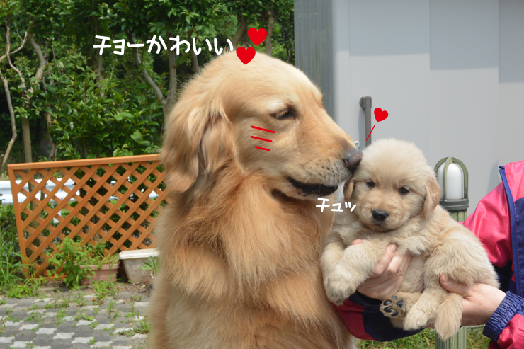 f:id:urarifu:20150628232517j:image f:id:urarifu:20150628232517j:image