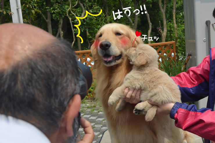 f:id:urarifu:20150628232518j:image f:id:urarifu:20150628232518j:image