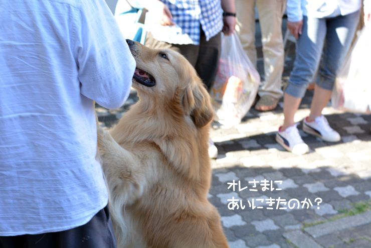 f:id:urarifu:20150719165825j:image f:id:urarifu:20150719165825j:image