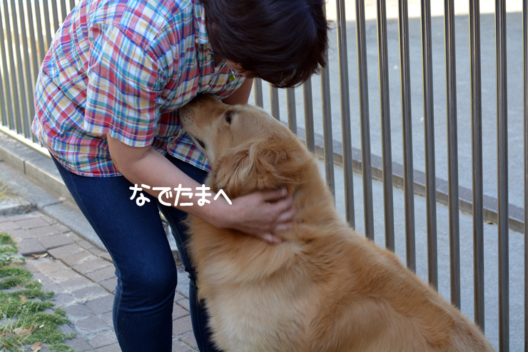 f:id:urarifu:20150719165826j:image f:id:urarifu:20150719165826j:image