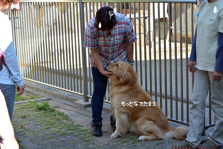 f:id:urarifu:20150719165827j:image f:id:urarifu:20150719165827j:image