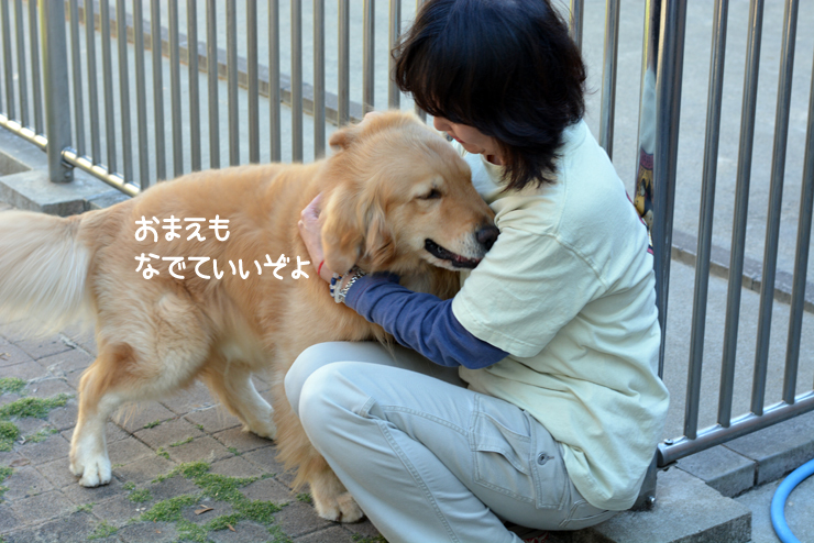 f:id:urarifu:20150719165828j:image f:id:urarifu:20150719165828j:image