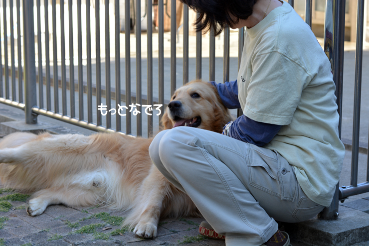 f:id:urarifu:20150719165829j:image f:id:urarifu:20150719165829j:image