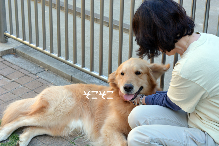 f:id:urarifu:20150719165832j:image f:id:urarifu:20150719165832j:image