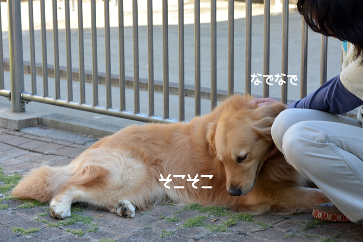 f:id:urarifu:20150719165833j:image f:id:urarifu:20150719165833j:image