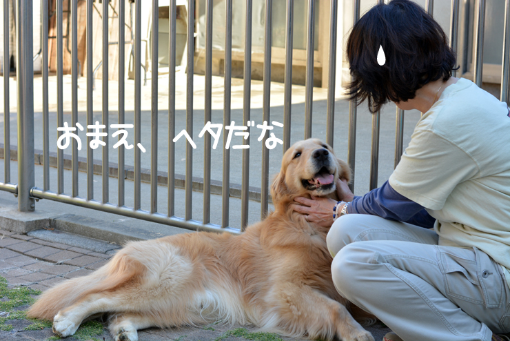 f:id:urarifu:20150719165834j:image f:id:urarifu:20150719165834j:image