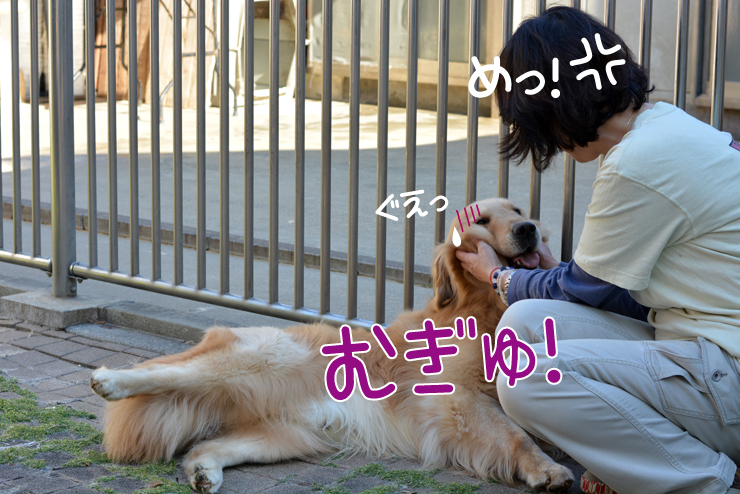 f:id:urarifu:20150719165835j:image f:id:urarifu:20150719165835j:image