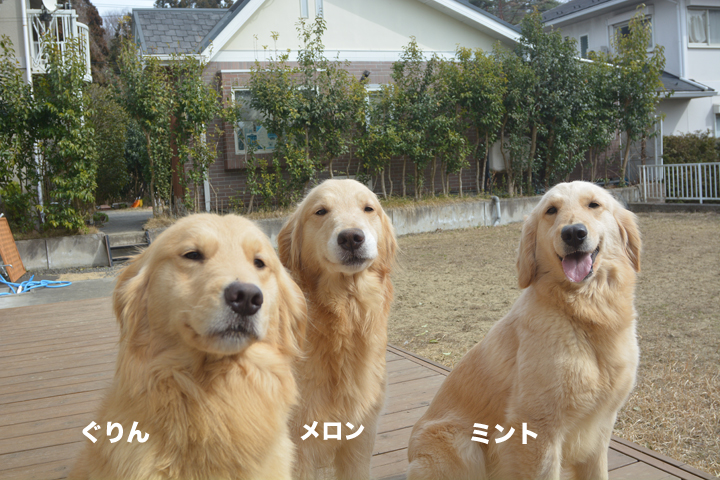 f:id:urarifu:20160319234309j:image f:id:urarifu:20160319234309j:image