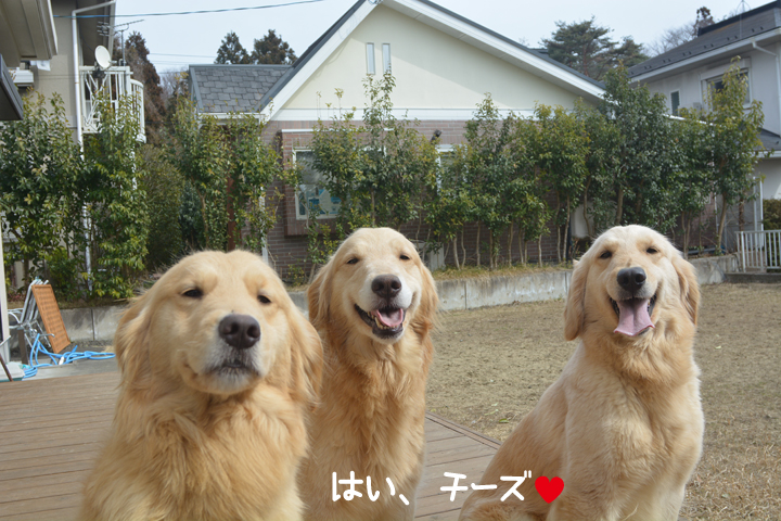 f:id:urarifu:20160319234310j:image f:id:urarifu:20160319234310j:image