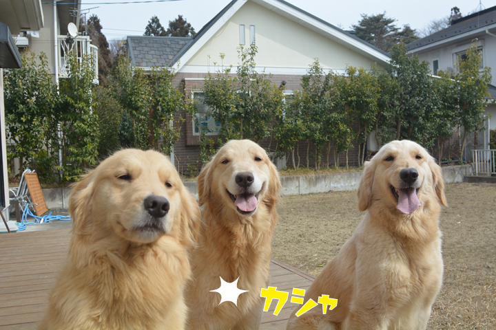 f:id:urarifu:20160319234311j:image f:id:urarifu:20160319234311j:image