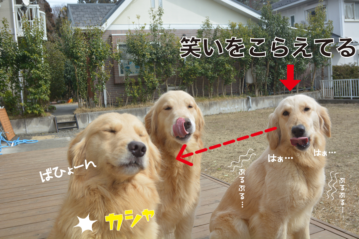 f:id:urarifu:20160319234315j:image f:id:urarifu:20160319234315j:image