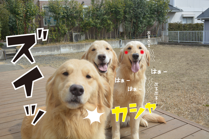 f:id:urarifu:20160319234317j:image f:id:urarifu:20160319234317j:image