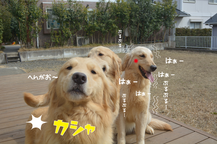 f:id:urarifu:20160319234318j:image f:id:urarifu:20160319234318j:image