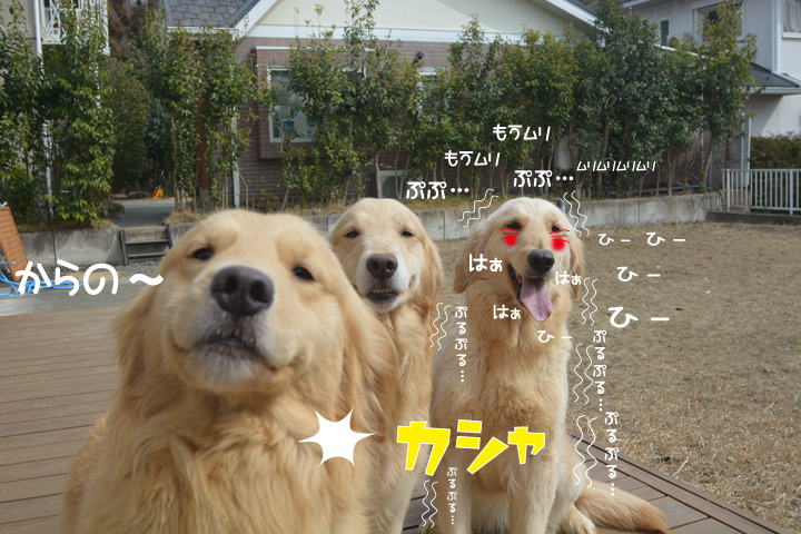 f:id:urarifu:20160319234322j:image f:id:urarifu:20160319234322j:image