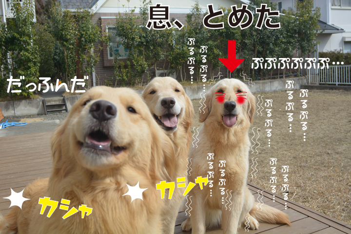 f:id:urarifu:20160319234323j:image f:id:urarifu:20160319234323j:image