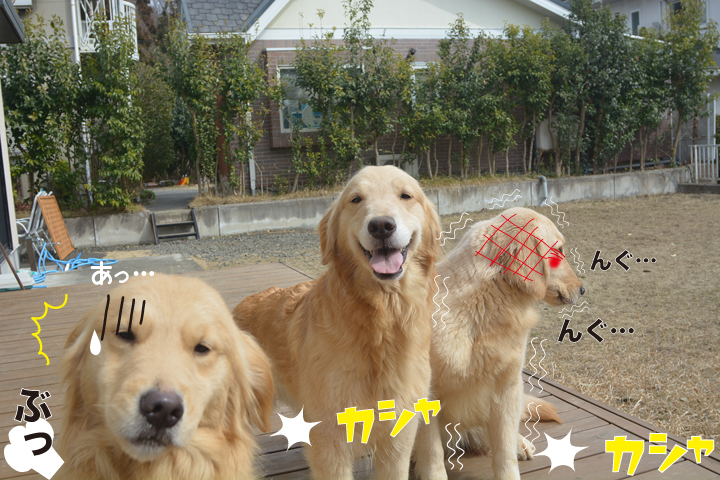 f:id:urarifu:20160319234324j:image f:id:urarifu:20160319234324j:image