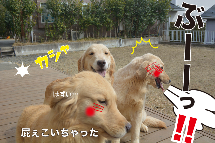 f:id:urarifu:20160319234325j:image f:id:urarifu:20160319234325j:image