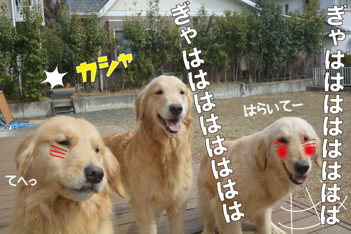 f:id:urarifu:20160319234326j:image f:id:urarifu:20160319234326j:image