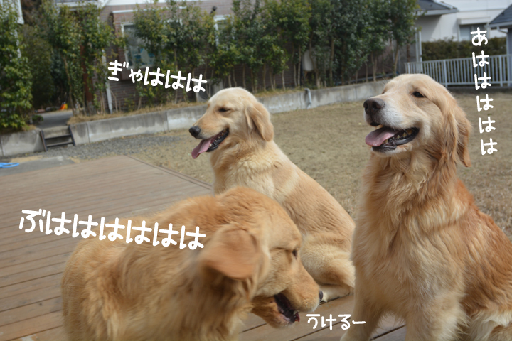f:id:urarifu:20160319234329j:image f:id:urarifu:20160319234329j:image