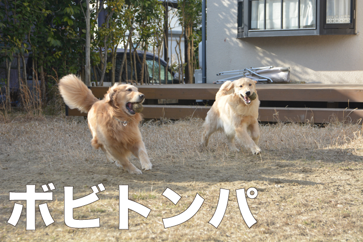 f:id:urarifu:20160321184140j:image f:id:urarifu:20160321184140j:image