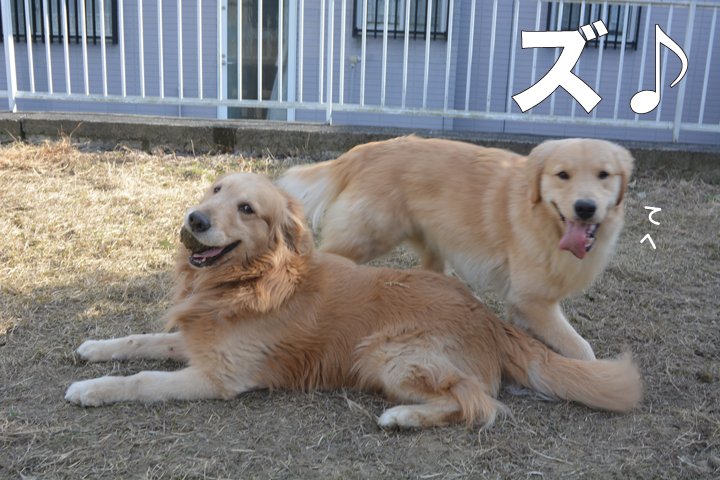 f:id:urarifu:20160321184142j:image f:id:urarifu:20160321184142j:image