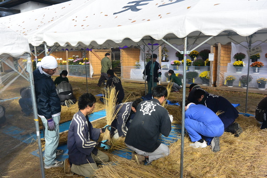 f:id:urasa-tamon:20181116151046j:plain f:id:urasa-tamon:20181116151046j:plain