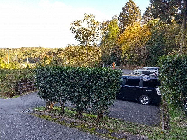 f:id:urashima_san:20241130193812j:image f:id:urashima_san:20241130193812j:image