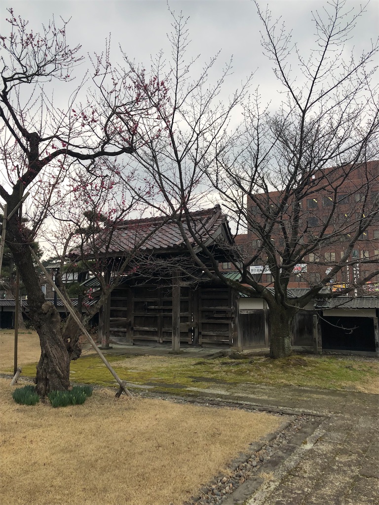 f:id:urashimamimi:20190323000011j:image