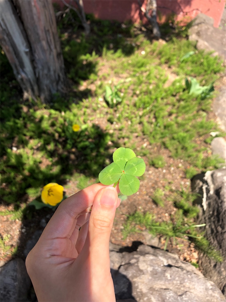 f:id:urashimamimi:20190505111840j:image