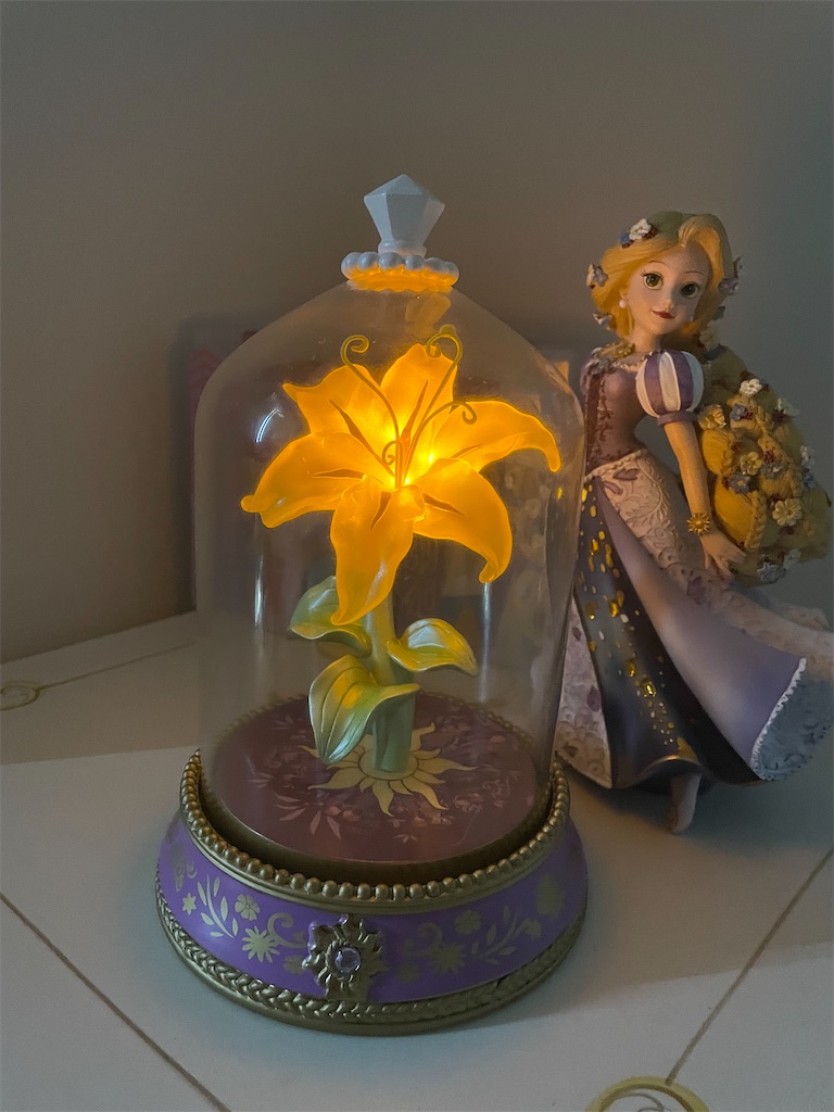 ラプンツェル魔法の花ディズニーライト ラプンツェル魔法の花ディズニーライト