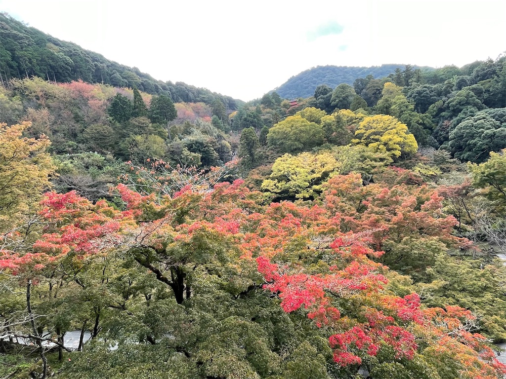 f:id:urashimamimi:20211109094347j:image