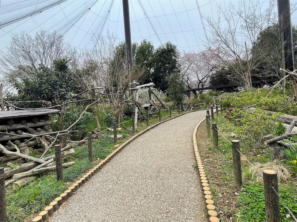 f:id:urashimamimi:20220403145223j:image