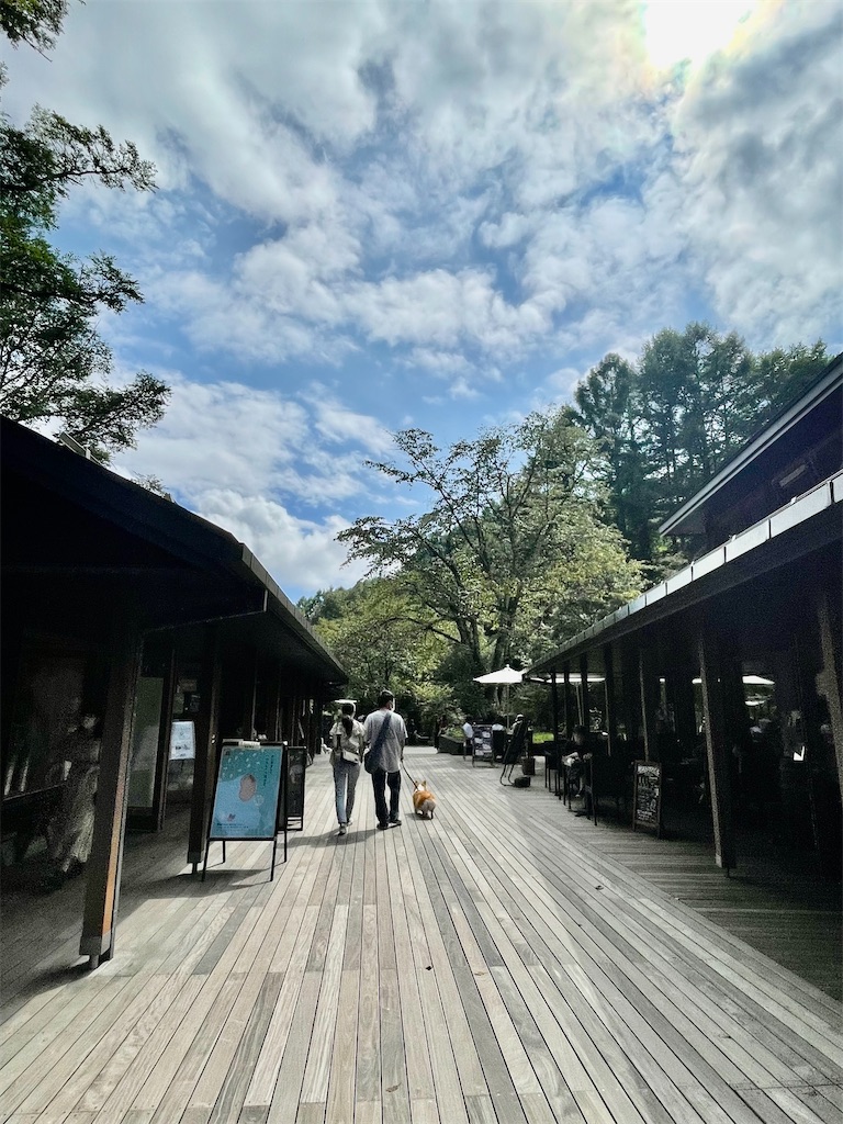f:id:urashimamimi:20220912111453j:image
