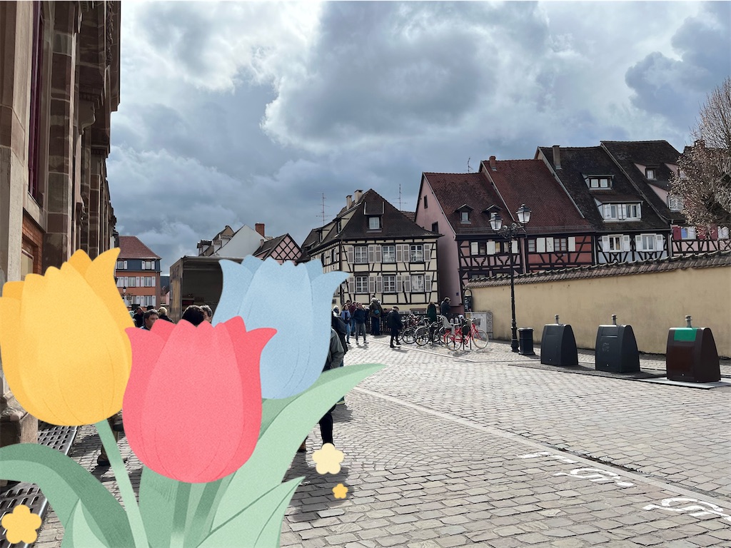 f:id:urashimamimi:20230423133039j:image