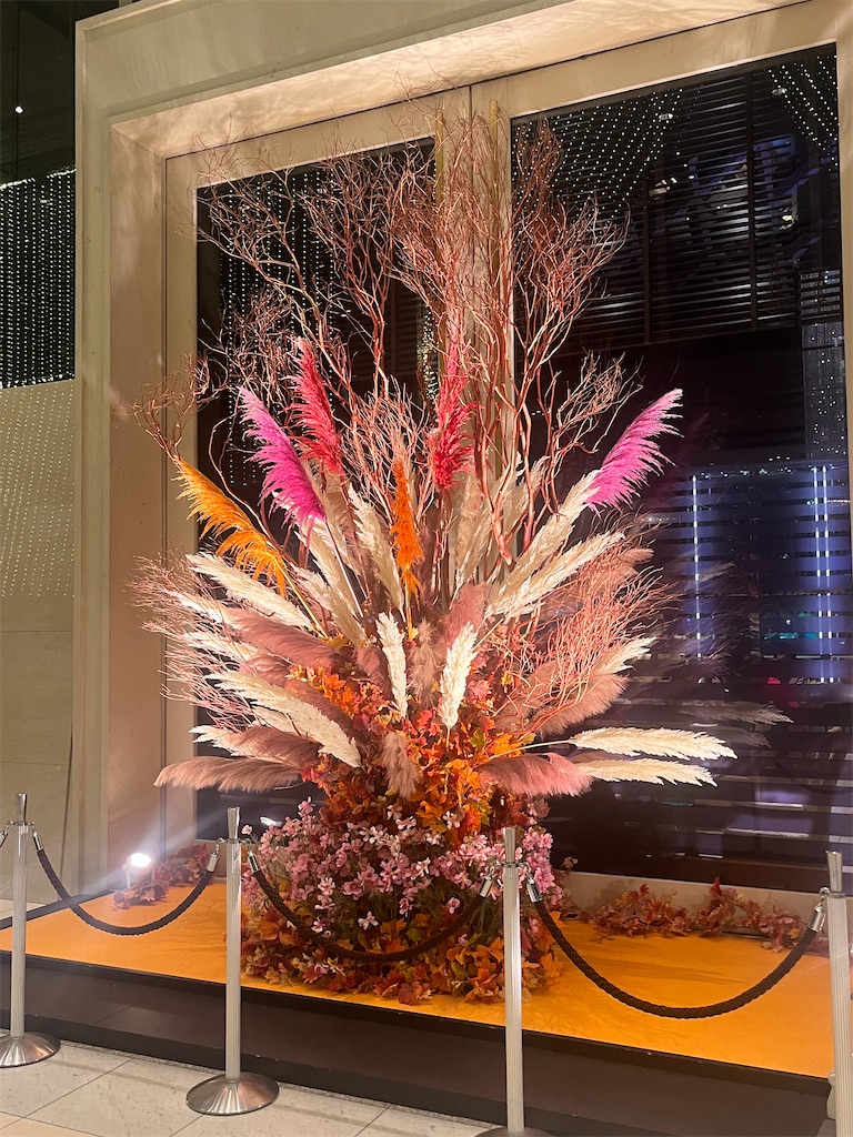 f:id:urashimamimi:20240926212340j:image f:id:urashimamimi:20240926212340j:image