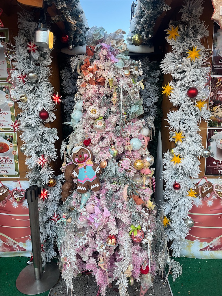 f:id:urashimamimi:20241126152131j:image