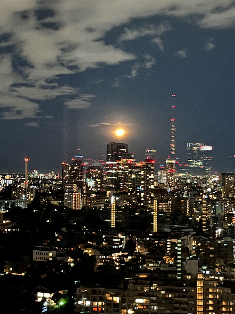 f:id:urashimamimi:20241210000653j:image