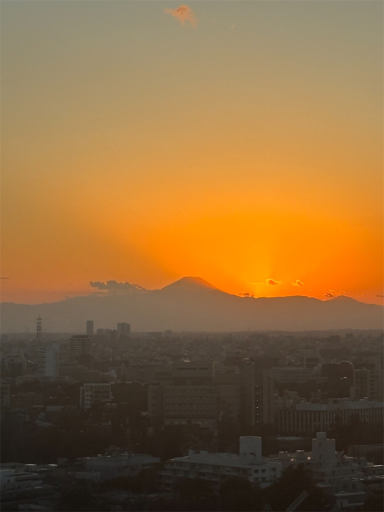 f:id:urashimamimi:20250216124406j:image