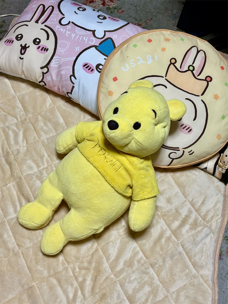 f:id:urashimamimi:20250216130203j:image