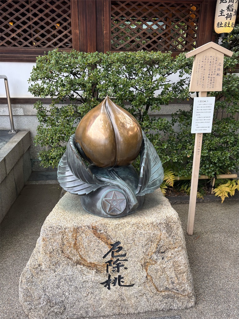 f:id:urashimamimi:20250316110907j:image