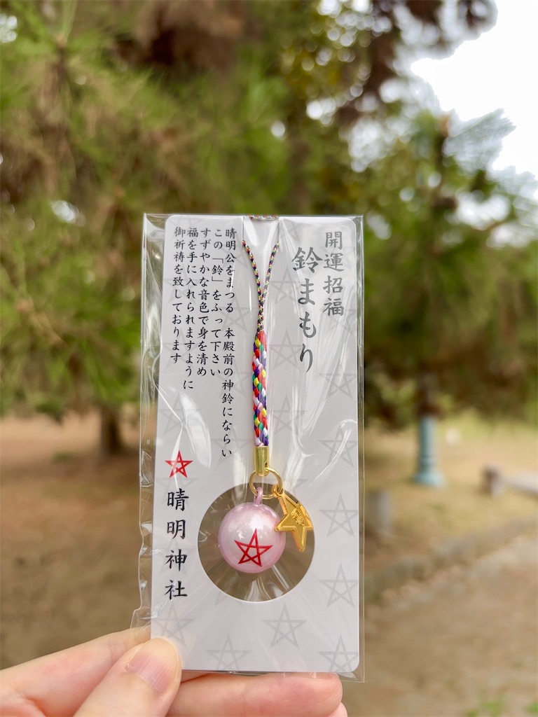 f:id:urashimamimi:20250316120807j:image