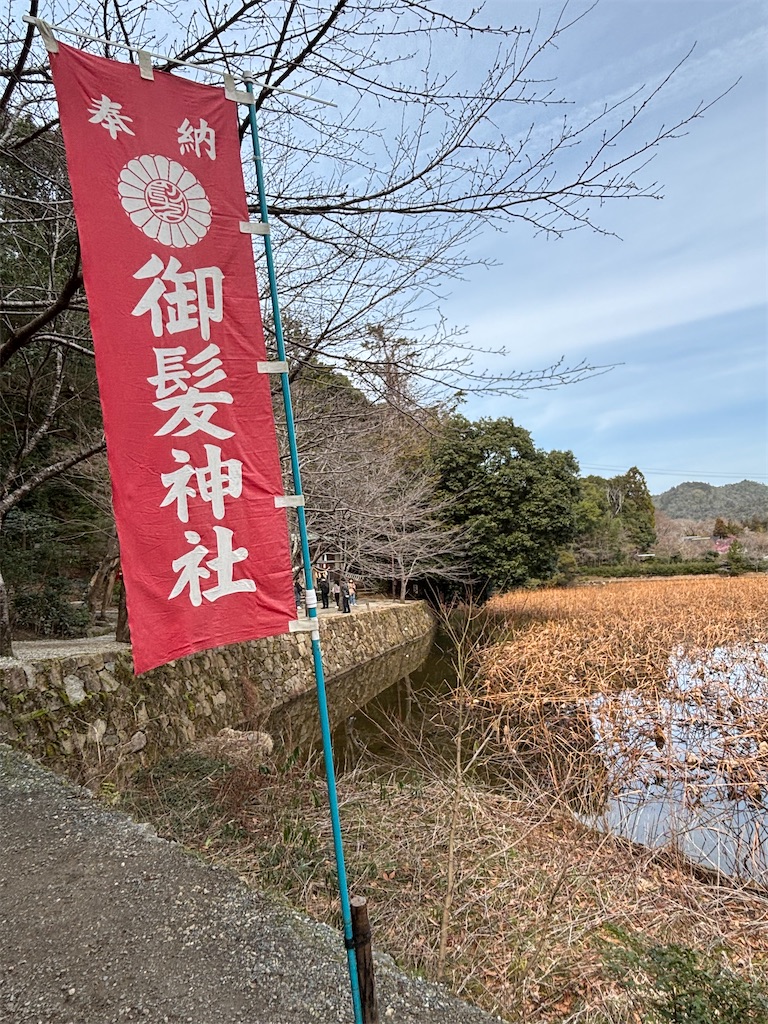 f:id:urashimamimi:20250317135721j:image
