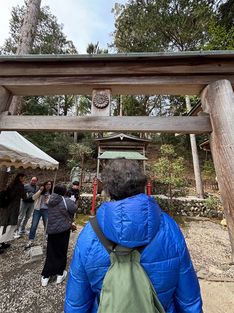 f:id:urashimamimi:20250317135735j:image