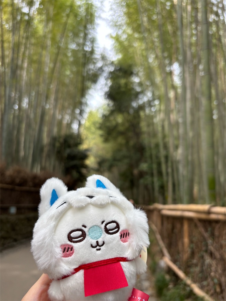 f:id:urashimamimi:20250317135745j:image